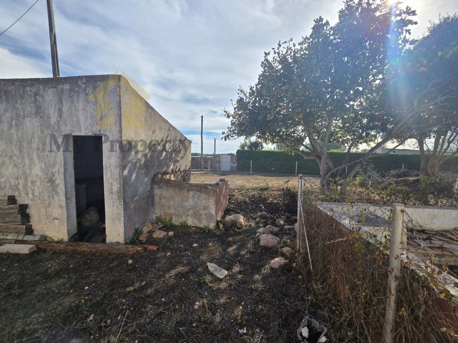 Property