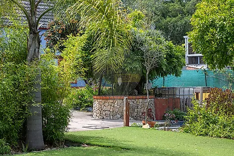 Property