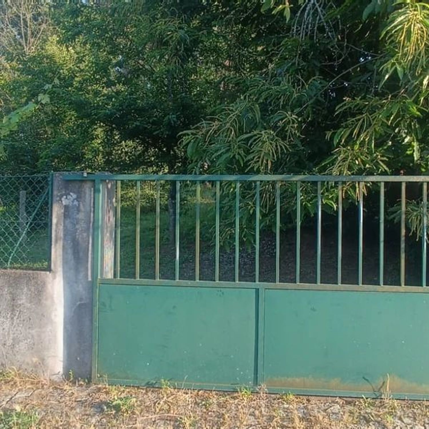 Property