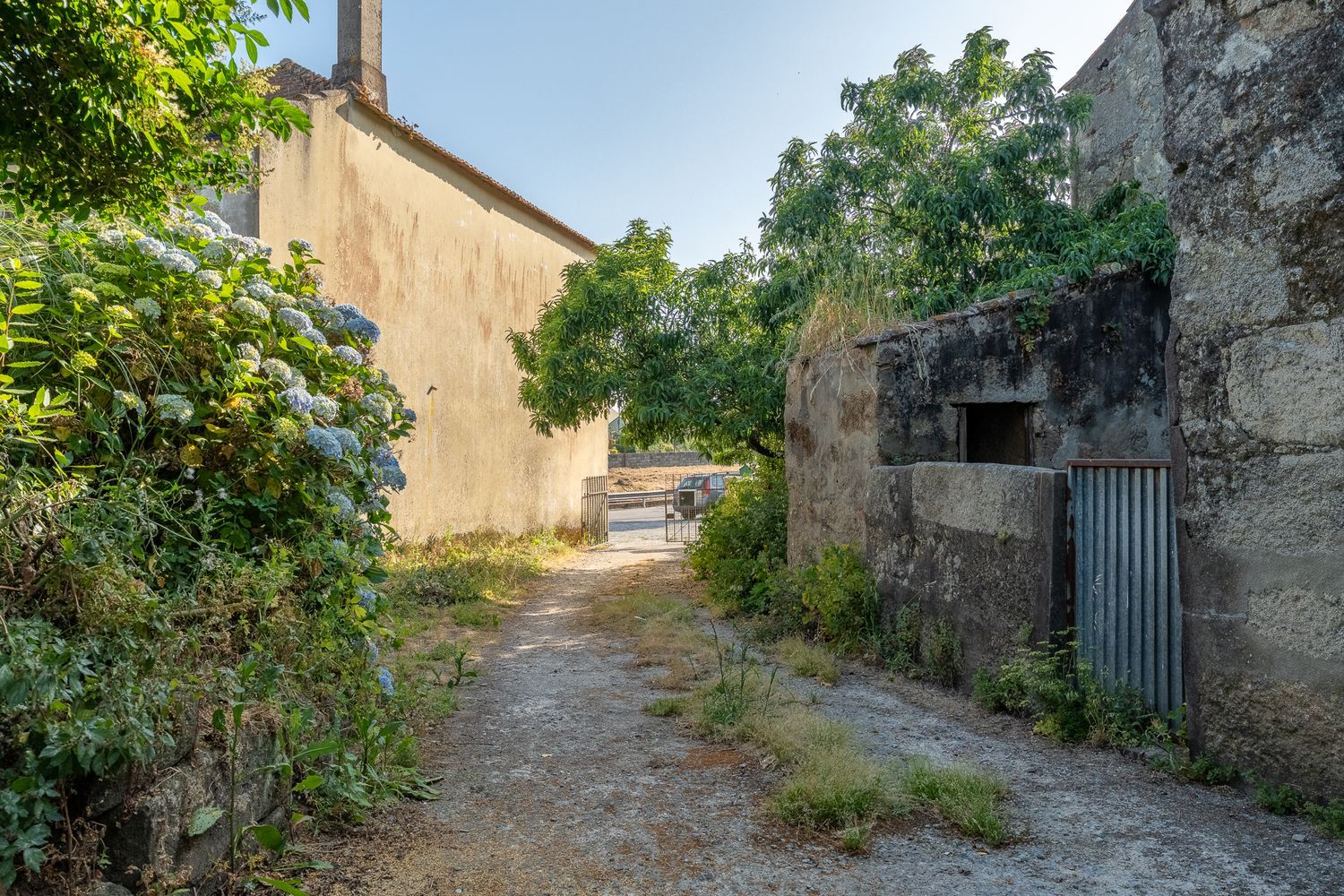 Property