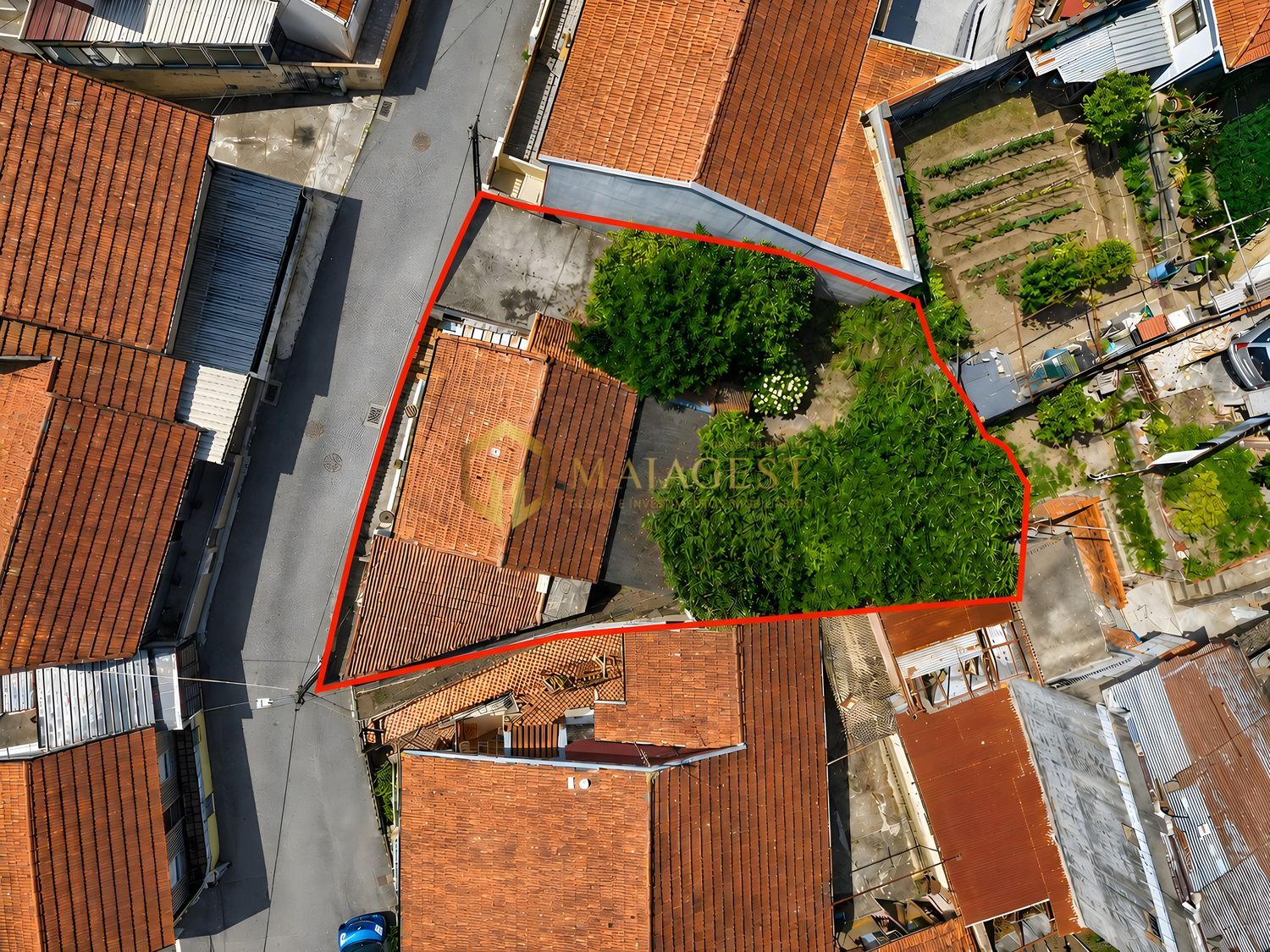 Property