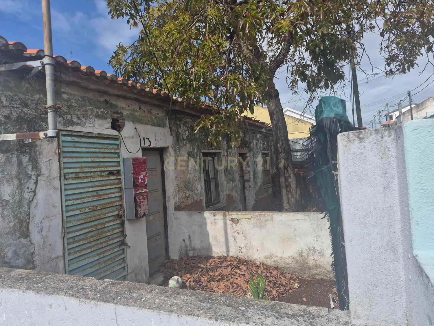 Property